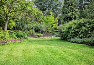 Optimiser l'expérience du jardin à Demigny